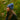 Skully Beanies