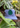 The  Monstera Trucker Hat