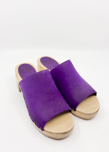 Open Toe Chunky Heel Clog